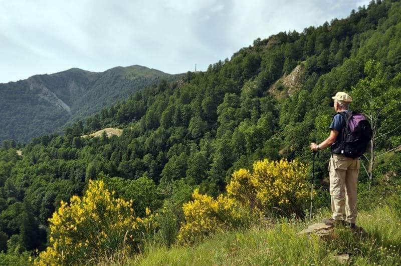 Sant'Elia B&B Alessandria del Carretto エクステリア 写真
