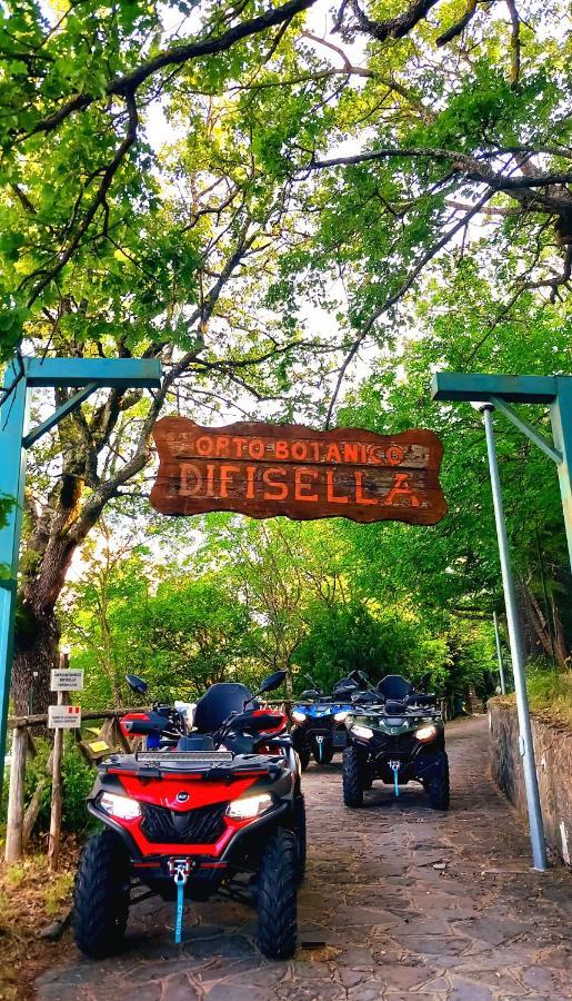 Sant'Elia B&B Alessandria del Carretto エクステリア 写真