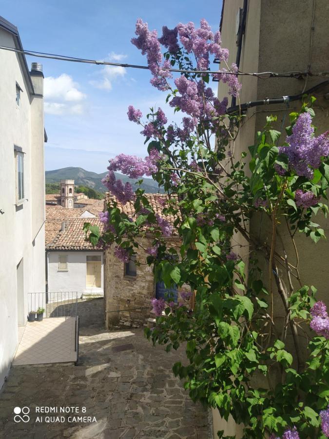 Sant'Elia B&B Alessandria del Carretto エクステリア 写真